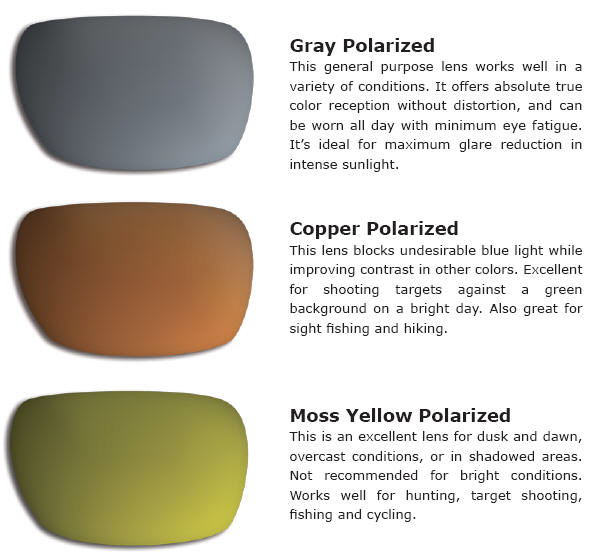 Polar Lens